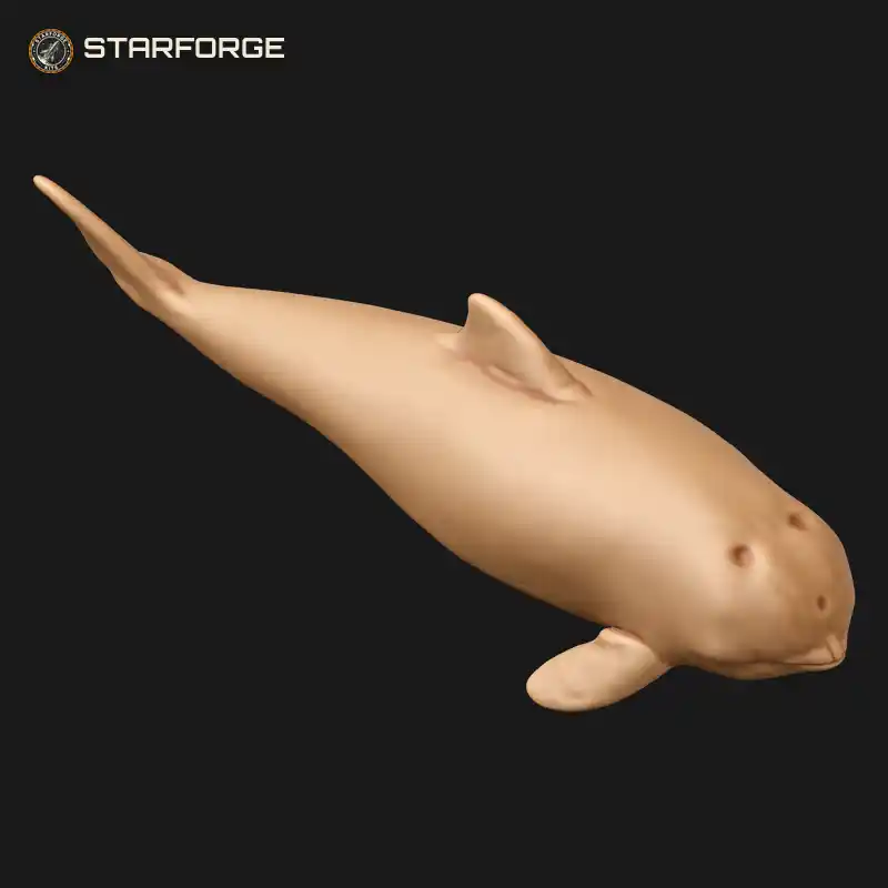 Harbor Porpoise Swimming Side View With Blunt Head Triangular Dorsal Fin And Fluked Tail